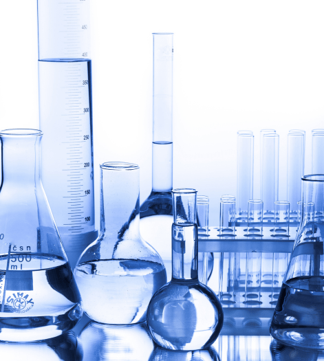 Untitled design (52)